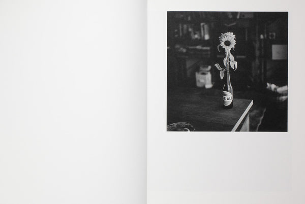 Ukima | Hikaru Honda | Zen foto gallery 2025