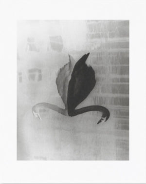 Absentee - Collotype portfolio | Sayuri Ichida | Benrido 2025
