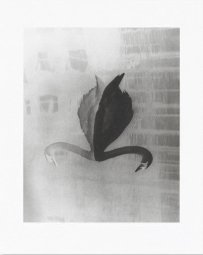 Absentee - Collotype portfolio | Sayuri Ichida | Benrido 2025