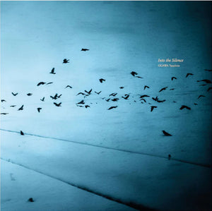 Into the silence | Yasuhiro Ogawa | Photo editions, Blue lotus Gallery 2024 [SECOND EDITION] [SIGNED]