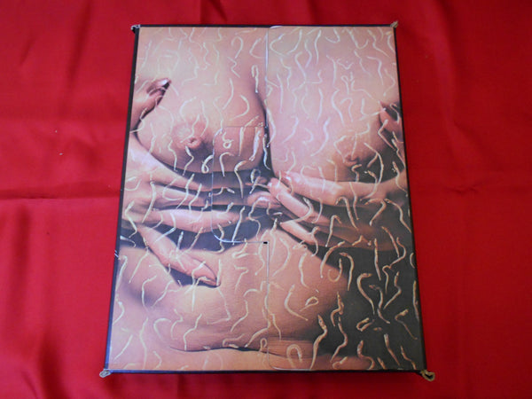 The third venus | Yasuhiro Yoshioka |  Sogo Tosho 1971