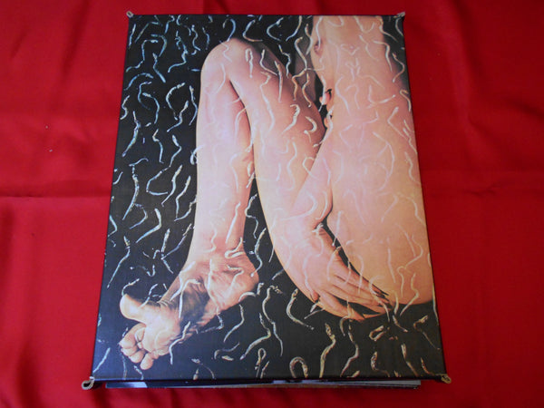 The third venus | Yasuhiro Yoshioka |  Sogo Tosho 1971