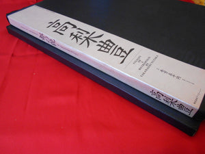 Visage of a Metropolis | Yutaka Takanashi | Inter Press Corp 1989