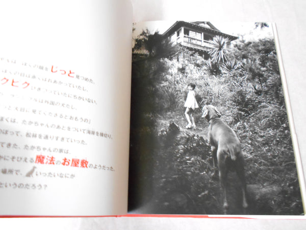 Takachan to boku, A Dog's Journey to Japan | Eikoh Hosoe | Shogakukan 1997