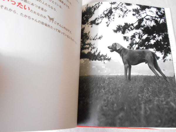 Takachan to boku, A Dog's Journey to Japan | Eikoh Hosoe | Shogakukan 1997