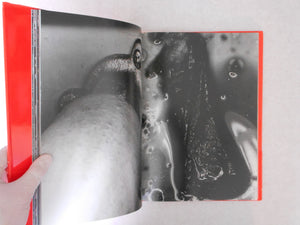 Erotos | Nobuyoshi Araki | Libro Port 1993