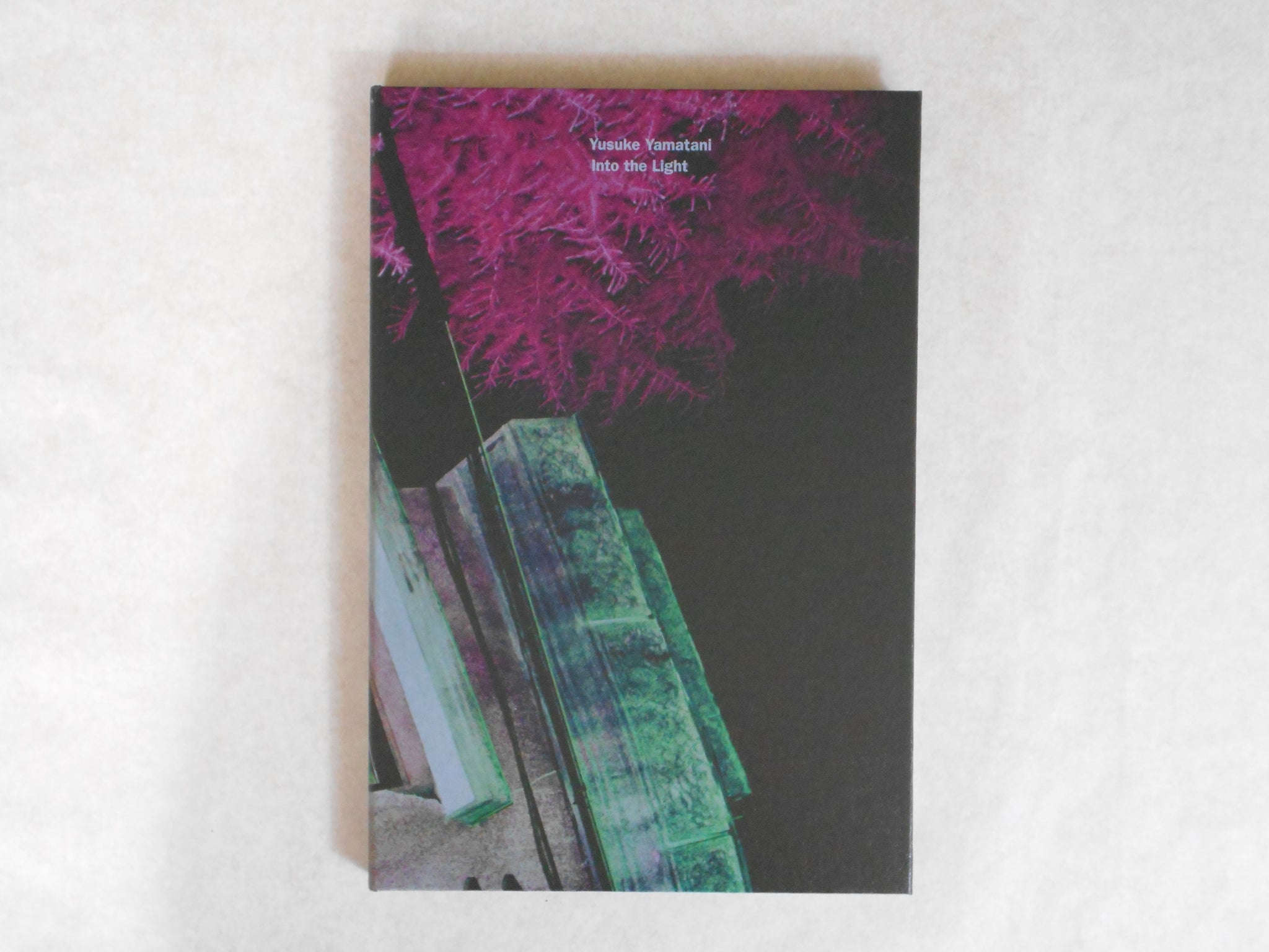 Into the light | Yusuke Yamatani | T&M Projects 2017