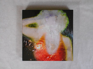 Selfpolaroids | Tokyo Rumando | Zen foto gallery (SIGNED)