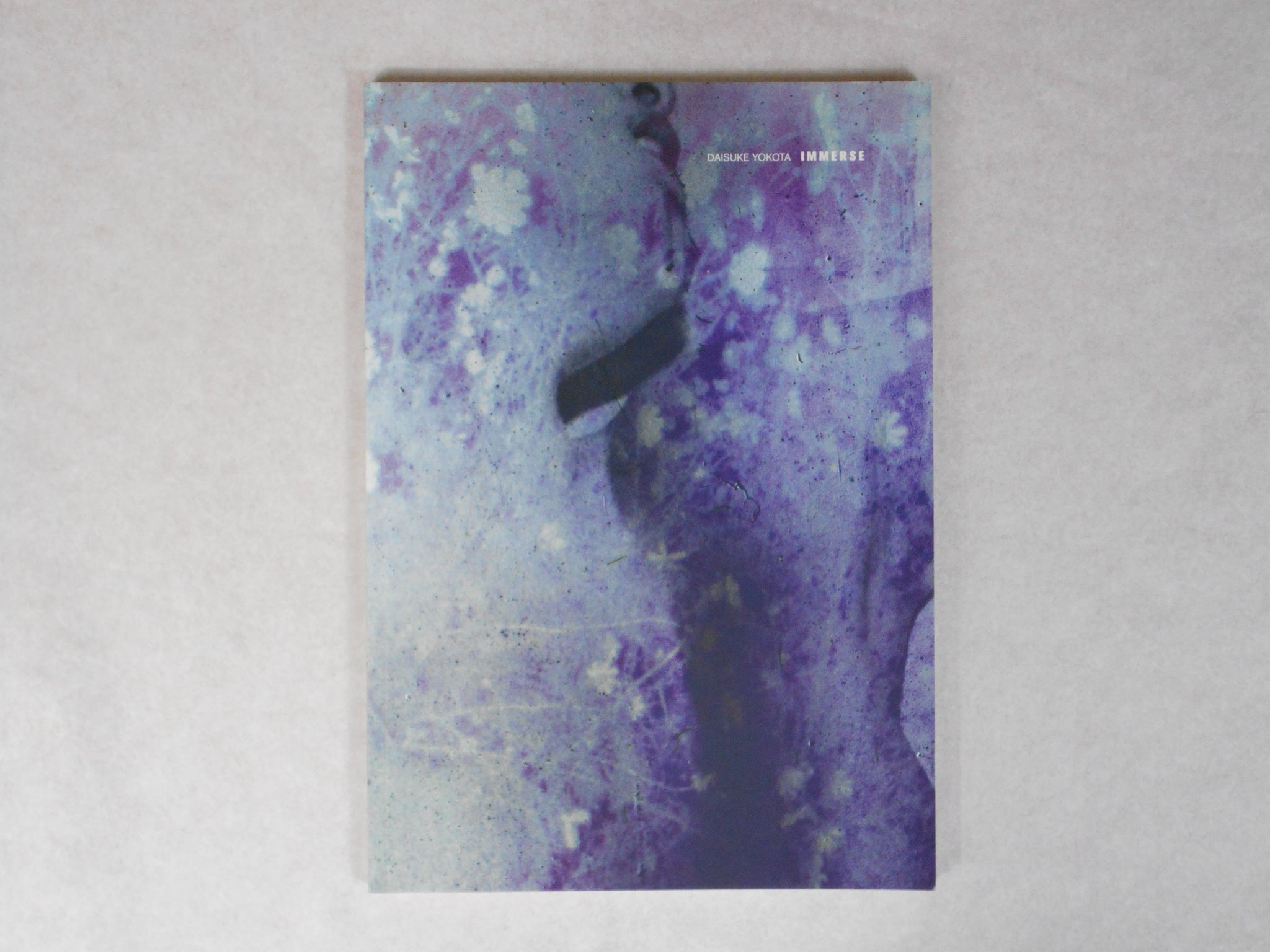 Immerse | Daisuke Yokota | Akina books 2015