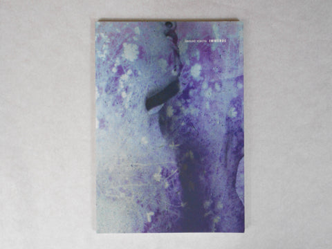 Immerse | Daisuke Yokota | Akina books 2015