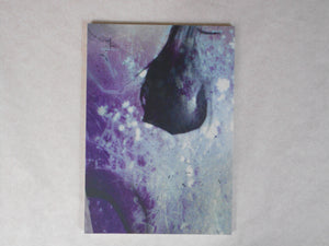 Immerse | Daisuke Yokota | Akina books 2015