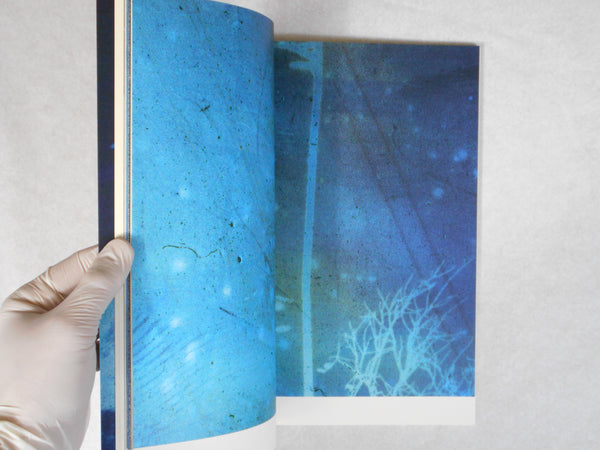 Immerse | Daisuke Yokota | Akina books 2015