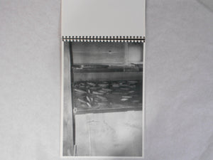 Teikai - Wandering at midnight | Daisuke Yokota | Akina books 2014