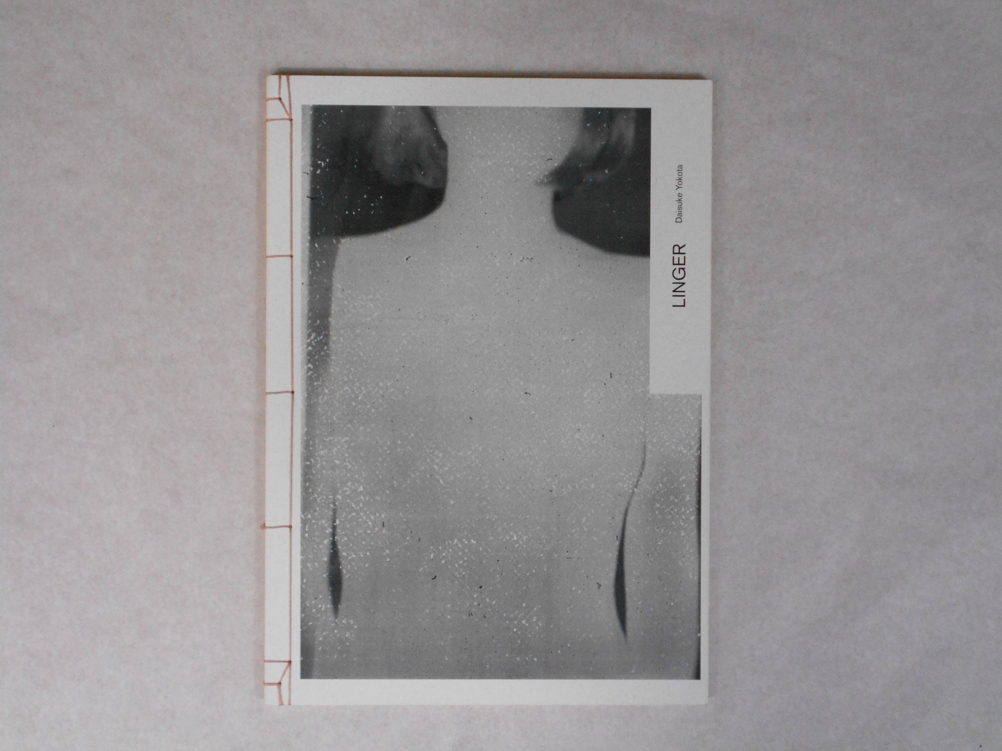 Teikai - Linger | Daisuke Yokota | Akina books 2014 (SIGNED)