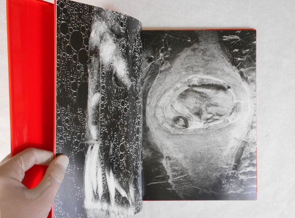 Erotos | Nobuyoshi Araki | Libro Port 1993