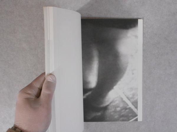 Pigxote | Harmony Korine | Nieves 2009