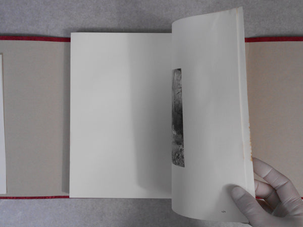 Elizabeth's Dream | Julianna Freehand | Menses 1984 (INSCRIBED)