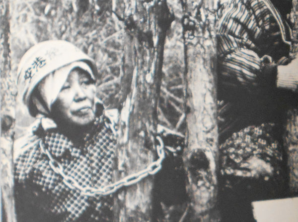 Document Angle | Takashi Hamaguchi | Nippon camera 1973