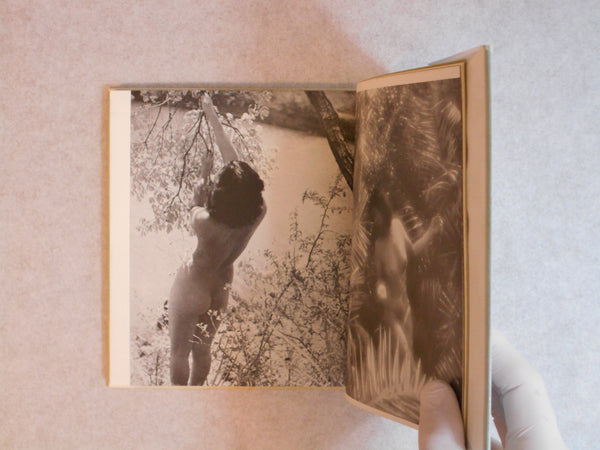Rafu no utsushikata | Kira Sugiyama | Oizumi Shoten 1951