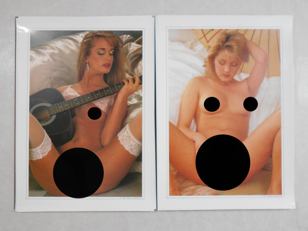 Portfolio | Shelley Lawrence | Artman Club