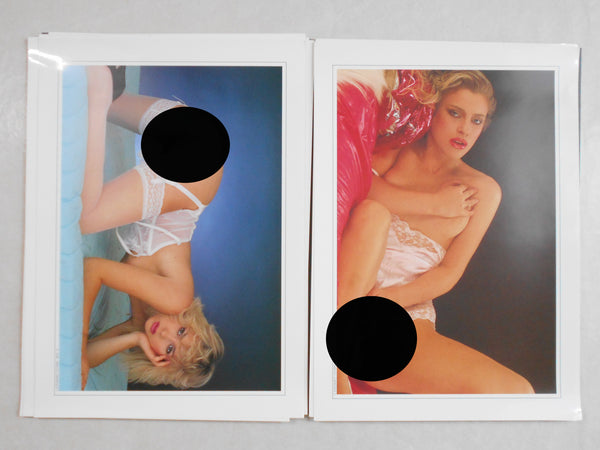 Portfolio | Shelley Lawrence | Artman Club