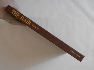 The Hair part 13 | AA.VV. | Artman Club 1993