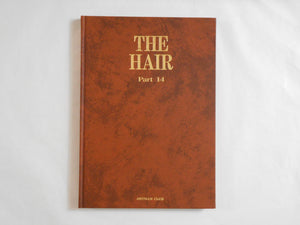 The Hair part 14 | AA.VV. | Artman Club 1993