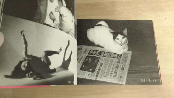 Hokeitei Diary | Nobuyoshi Araki | 1994