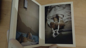 War Porn | Christopher Bangert | Kehrer Verlag 2014  (SIGNED)