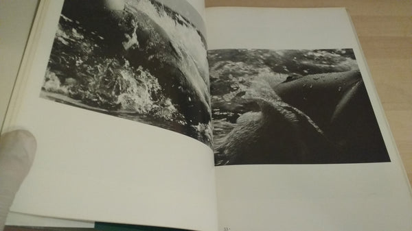 World best nudes vol.2 | Lucien Clergue, Jean Louis Michel | Haga Shoten, 1979