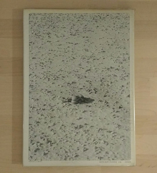 World best nudes vol.2 | Lucien Clergue, Jean Louis Michel | Haga Shoten, 1979